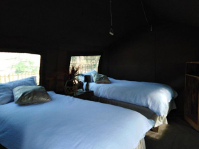 Andova Tented Lodge - Kruger Open Gate Road, Hoedspruit
